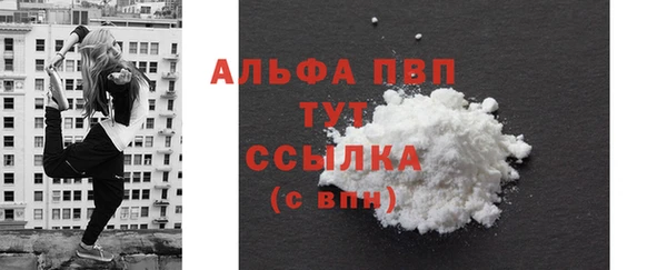 спиды Елизово