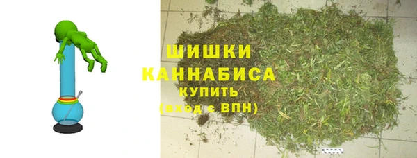 прущая мука Ельня