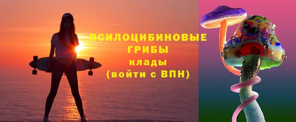 спиды Елизово