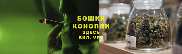 прущая мука Ельня