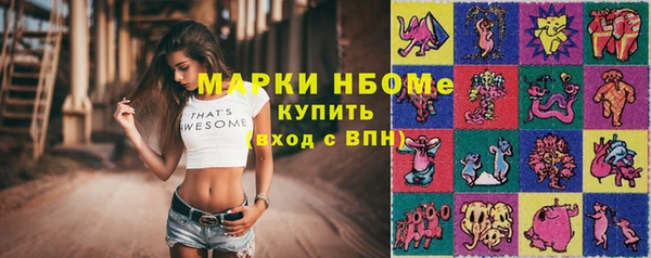 прущая мука Ельня