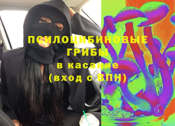 спиды Елизово