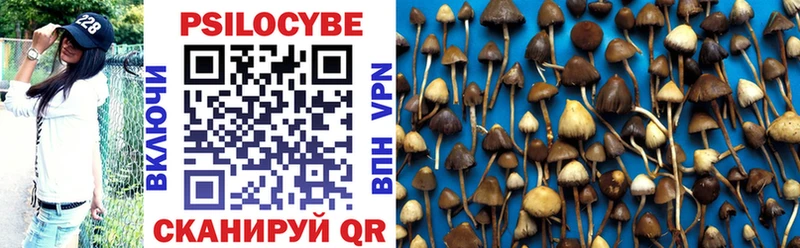 Купить закладки  Бахчисарай  Галлюциногенные грибы Psilocybe 